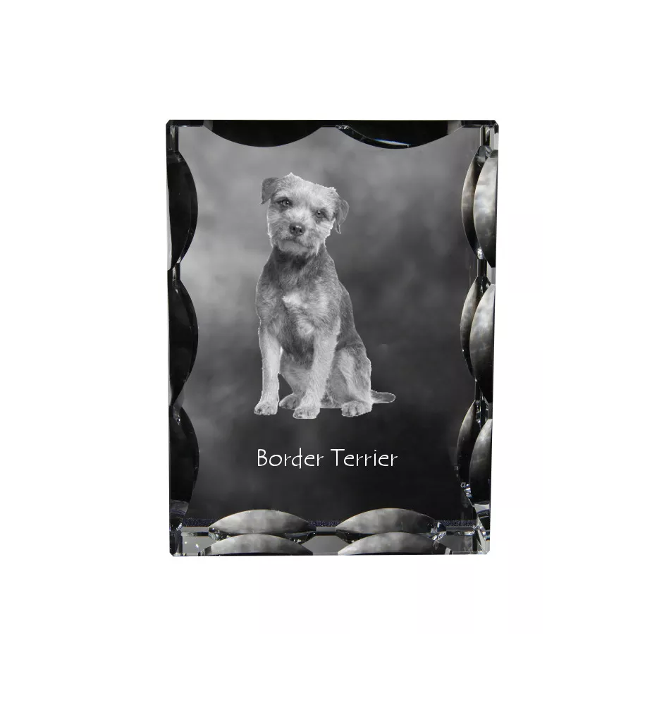 Border Terrier - crystal with a picture of a dog, glass statuette with a picture, unique frame with a picture from Art-Dog brand