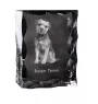 Border Terrier ramka kryształowa z psem Art-Dog
