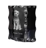 Border Terrier - cristal avec photo de chien, statuette en verre avec photo, cadre exceptionnel avec photo de la marque Art-Dog