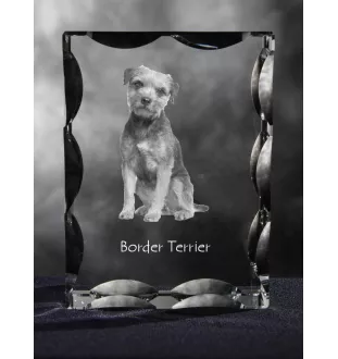 Border Terrier - crystal with a picture of a dog, glass statuette with a picture, unique frame with a picture from Art-Dog brand
