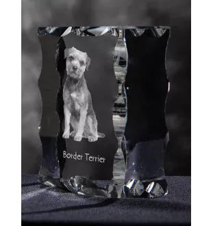 Border Terrier - crystal with a picture of a dog, glass statuette with a picture, unique frame with a picture from Art-Dog brand