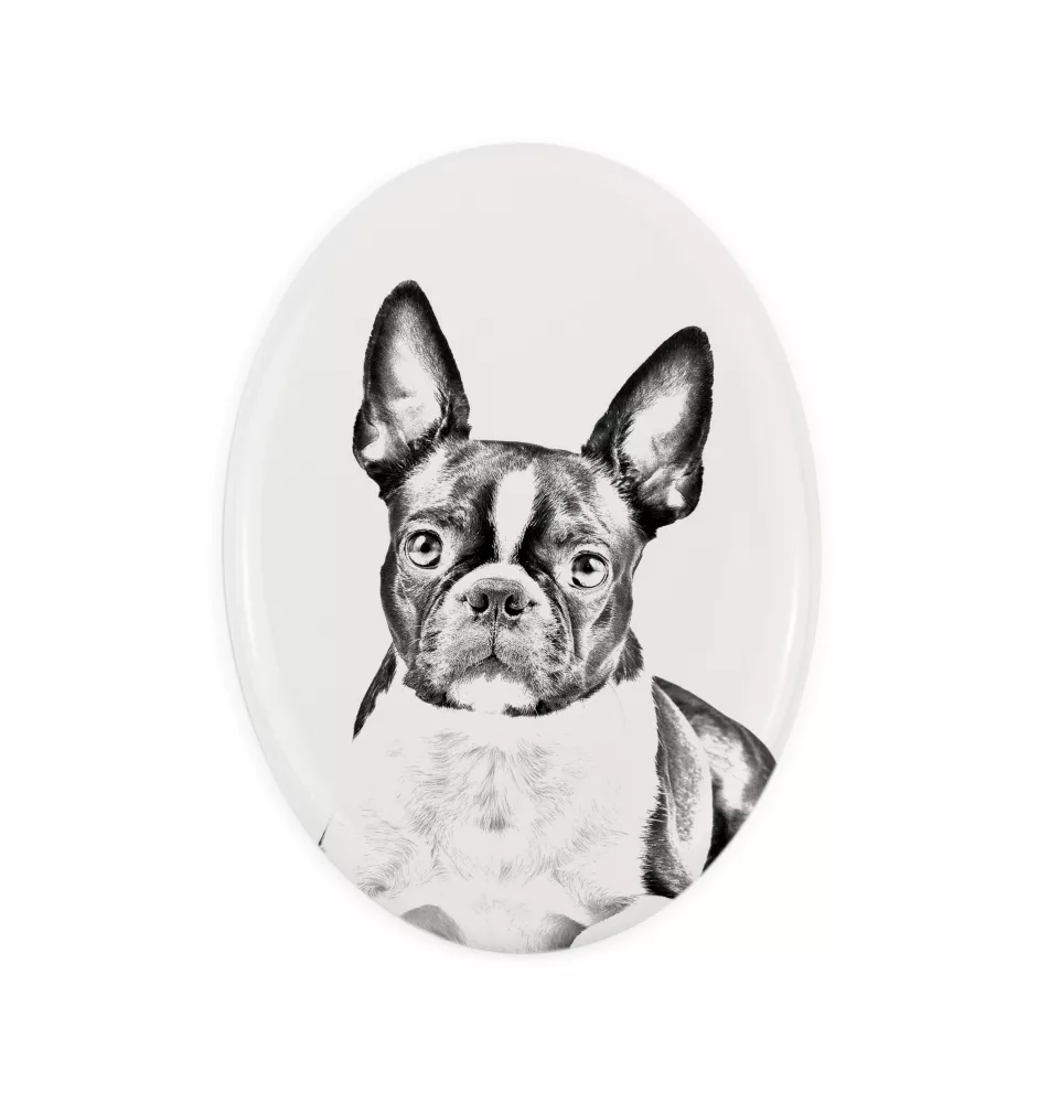 Boston Terrier, American Gentleman - commemorative plaque with a photo of a dog, tombstone with a print, personalized oval plaque from the Art-Dog brand