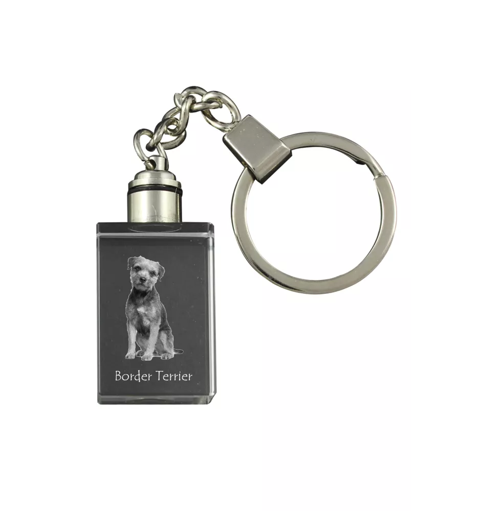 Border Terrier - Crystal key ring with dog photo, illuminated key ring, unique gift by Art-Dog brand