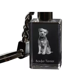 Border Terrier - Crystal key ring with dog photo, illuminated key ring, unique gift by Art-Dog brand