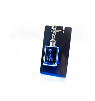 Border Terrier - Crystal key ring with dog photo, illuminated key ring, unique gift by Art-Dog brand