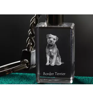 Border Terrier - Crystal key ring with dog photo, illuminated key ring, unique gift by Art-Dog brand