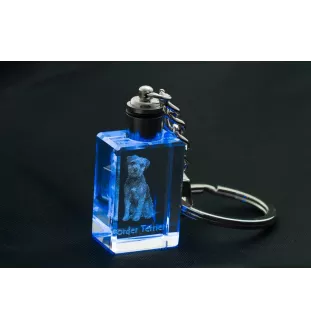 Border Terrier - Schlüsselanhänger aus Kristall mit Hundefoto, beleuchteter Schlüsselanhänger, einzigartiges Geschenk der Marke Art-Dog