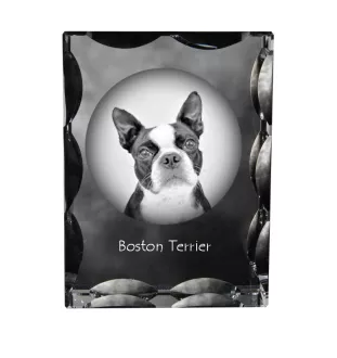 Boston Terrier - Kristall mit einem Hundebild, Glasstatuette mit einem Bild, einzigartiger Bilderrahmen der Marke Art-Dog