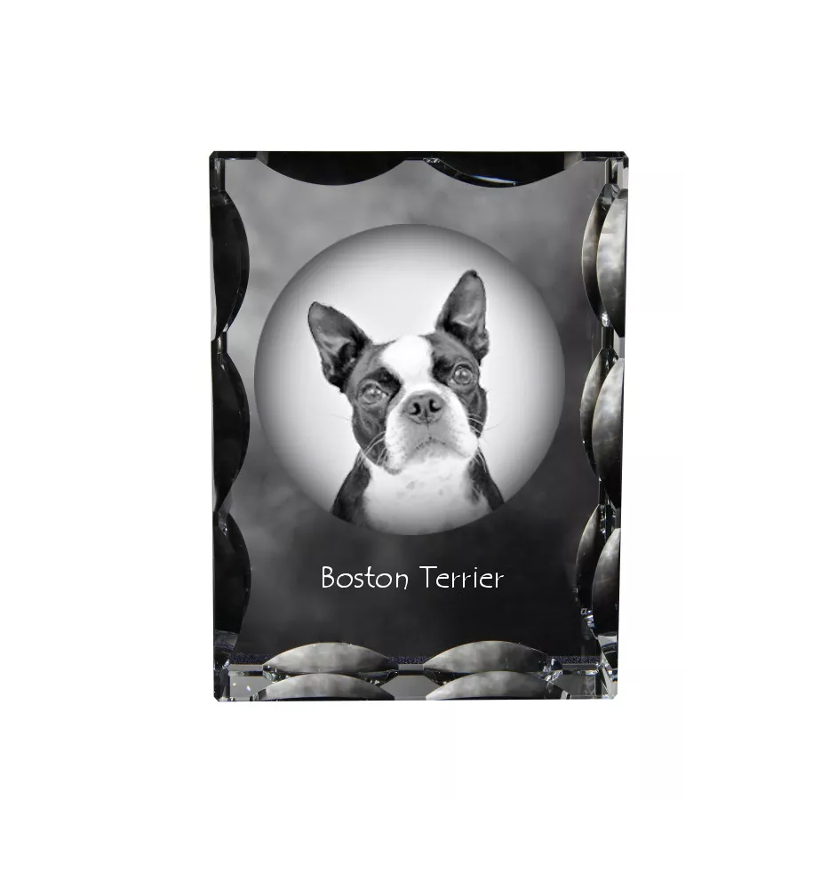 Terrier de Boston, Boston Terrier - cristal avec photo de chien, statuette en verre avec photo, cadre exceptionnel avec photo de la marque Art-Dog