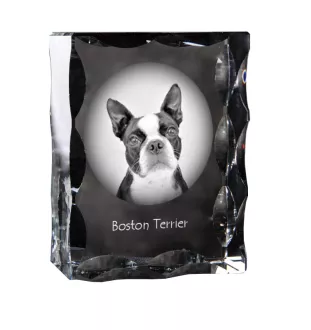 Boston Terrier ramka kryształowa z psem Art-Dog
