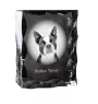 Boston Terrier - Kristall mit einem Hundebild, Glasstatuette mit einem Bild, einzigartiger Bilderrahmen der Marke Art-Dog