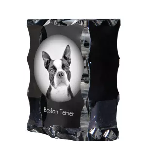 Terrier de Boston, Boston Terrier - cristal avec photo de chien, statuette en verre avec photo, cadre exceptionnel avec photo de la marque Art-Dog