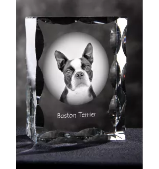 Terrier de Boston, Boston Terrier - cristal avec photo de chien, statuette en verre avec photo, cadre exceptionnel avec photo de la marque Art-Dog