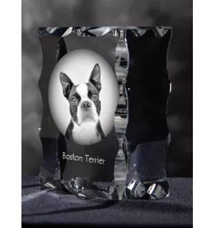 Terrier de Boston, Boston Terrier - cristal avec photo de chien, statuette en verre avec photo, cadre exceptionnel avec photo de la marque Art-Dog