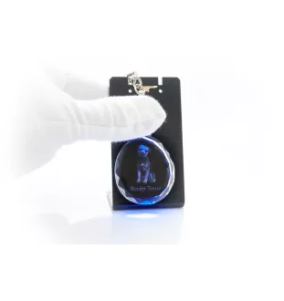 Border Terrier - pendant with a photo of a dog, crystal key ring in a gift box, a unique gift by Art-Dog