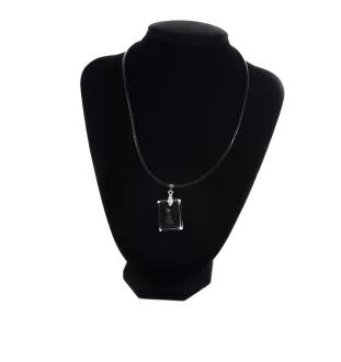 Border Terrier wisiorek kryształowy z psem Art-Dog