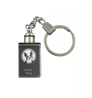 Terrier de Boston, Boston Terrier - Porte-clés en cristal avec photo de chien, porte-clés lumineux, cadeau unique de la marque Art-Dog