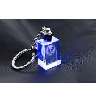Boston Terrier, American Gentleman - Crystal key ring with dog photo, illuminated key ring, unique gift by Art-Dog brand