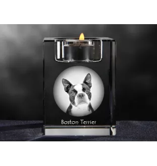 Boston Terrier świecznik kryształowy z psem Art-Dog