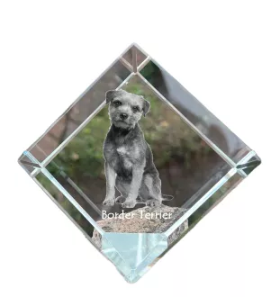 Border Terrier - crystal cube with a photo, photo of a horse in crystal, cubic paperweight from Art-Dog brand