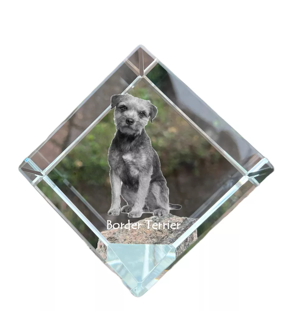 Border Terrier - un cube de cristal avec une photo, une photo de cheval dans le cristal, un presse-papiers cubique de la marque Art-Dog
