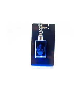 Barsoi, Russischer Jagdwindhund, Barzaia - Schlüsselanhänger aus Kristall mit Hundefoto, beleuchteter Schlüsselanhänger, einzigartiges Geschenk der Marke Art-Dog