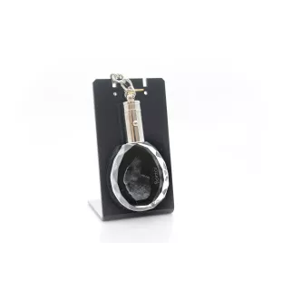 Barsoi, Russischer Jagdwindhund, Barzaia - Anhänger mit einem Foto eines Hundes, Schlüsselanhänger aus Kristall in einer Geschenkbox, ein einzigartiges Geschenk von Art-Dog