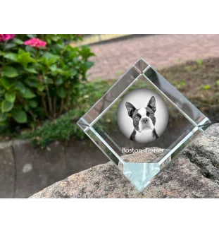 Boston Terrier, American Gentleman - crystal cube with a photo, photo of a horse in crystal, cubic paperweight from Art-Dog brand