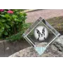 Boston Terrier, American Gentleman - crystal cube with a photo, photo of a horse in crystal, cubic paperweight from Art-Dog brand