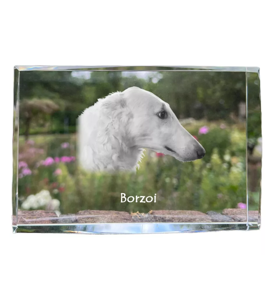 Borzoi, Russian Hunting Sighthound, Russian Wolfhound - crystal with a picture of a dog, photo in glass, modern exhibition of Art-Dog brand photo