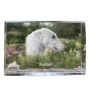 Borzoi, Russian Hunting Sighthound, Russian Wolfhound - crystal with a picture of a dog, photo in glass, modern exhibition of Art-Dog brand photo