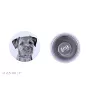 Border Terrier - unique dog earrings, your pet on a keychain, Art-Dog's own brand