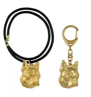 Terrier de Boston, Boston Terrier - porte-clés et collier avec chien dans une boîte, produit plaqué or de haute qualité, marque Art-Dog