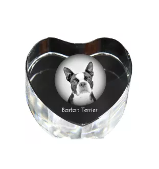 Boston Terrier serce kryształowe z psem Art-Dog