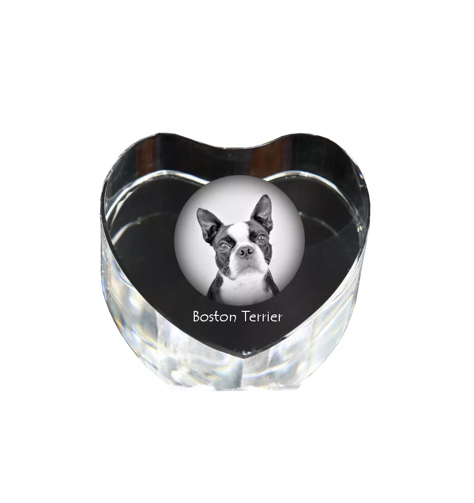 Terrier de Boston, Boston Terrier - une photo de chien dans un cristal, un cœur en cristal, un cadre photo exceptionnel de la marque Art-Dog