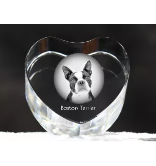 Boston Terrier, American Gentleman - a photo of a dog in crystal, crystal heart, unique photo frame from the Art-Dog brand