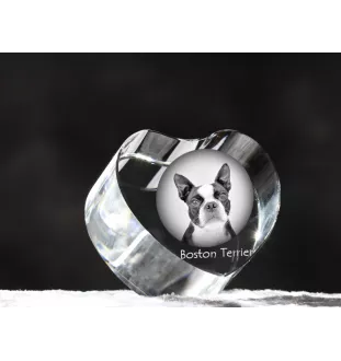 Boston Terrier, American Gentleman - a photo of a dog in crystal, crystal heart, unique photo frame from the Art-Dog brand
