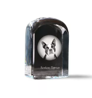 Boston Terrier kryształ pieczątka pięczątka z psem Art-Dog
