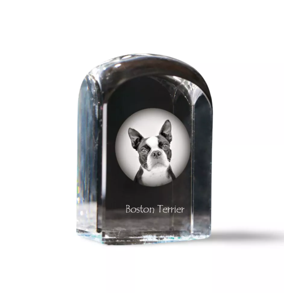 Boston Terrier - Kristallwürfel mit Bild, Hundebild im Kristall, sechseckiger Papierclip von Art-Dog.