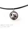Border Terrier - a set of jewelry in a box, necklace, earrings, bracelet, products from the Art-Dog brand