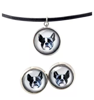 Boston Terrier naszyjnik i kolczyki ze zdjęciem Art-Dog