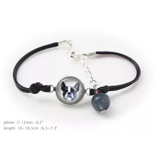 Terrier de Boston, Boston Terrier - ensemble de bijoux avec votre photo, ensemble fait à la main, bracelet et collier de la marque Art.-Dog
