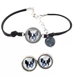 Terrier de Boston, Boston Terrier - ensemble de bijoux avec votre photo, accessoire féminin, article fait main, produit fabriqué à la main avec passion pour la création de la marque Art-Dog