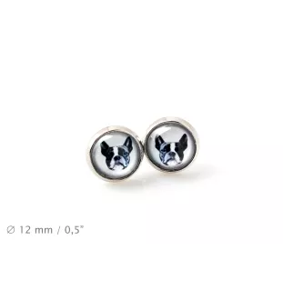 Terrier de Boston, Boston Terrier - ensemble de bijoux avec votre photo, accessoire féminin, article fait main, produit fabriqué à la main avec passion pour la création de la marque Art-Dog