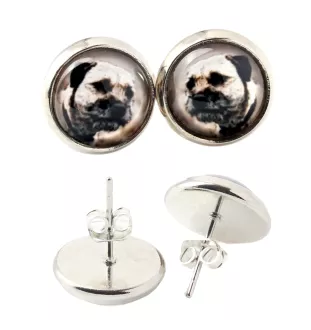 Border Terrier kolczyki w pudełku ze zdjęciem Art-Dog