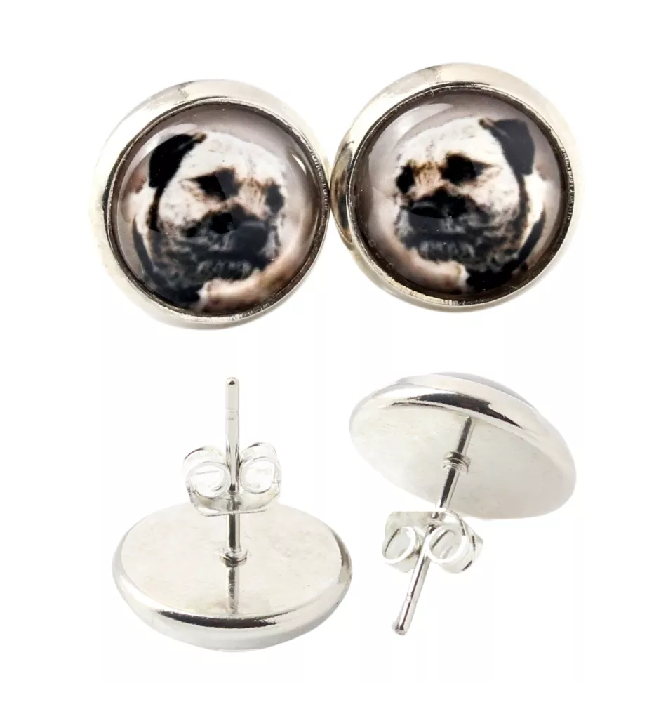 Border Terrier kolczyki w pudełku ze zdjęciem Art-Dog