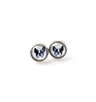 Boston Terrier, American Gentleman - earrings in a box, your photo, handmade jewelry, a product of the Art-Dog brand