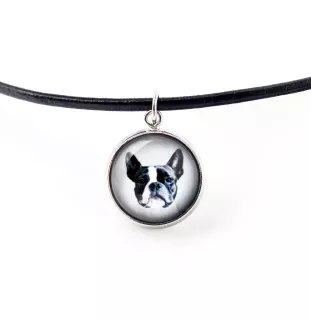 Boston Terrier naszyjnik w pudełku ze zdjęciem Art-Dog