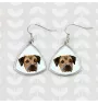 Border Terrier - earrings with a picture and the inscription geometric dog Art-Dog
