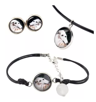 Barzoi, Levrier De Chasse Russe, Lévrier russe - ensemble de bijoux dans une boîte, collier, boucles d'oreilles, bracelet, produits de la marque Art-Dog